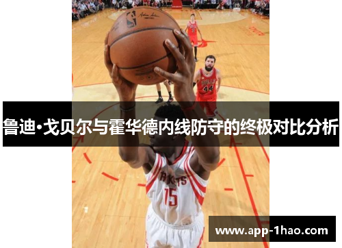 鲁迪·戈贝尔与霍华德内线防守的终极对比分析