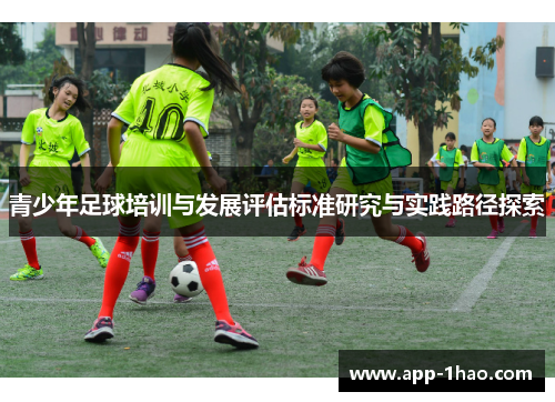 青少年足球培训与发展评估标准研究与实践路径探索