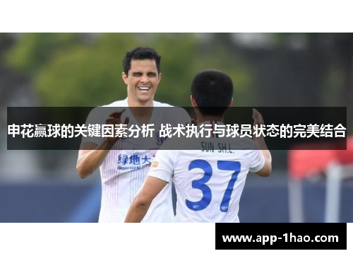 申花赢球的关键因素分析 战术执行与球员状态的完美结合