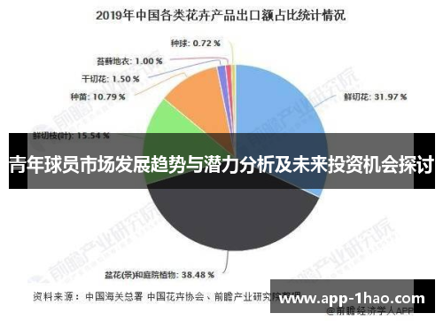 青年球员市场发展趋势与潜力分析及未来投资机会探讨