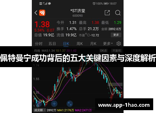 佩特曼宁成功背后的五大关键因素与深度解析