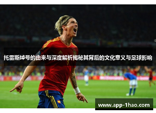 托雷斯绰号的由来与深度解析揭秘其背后的文化意义与足球影响