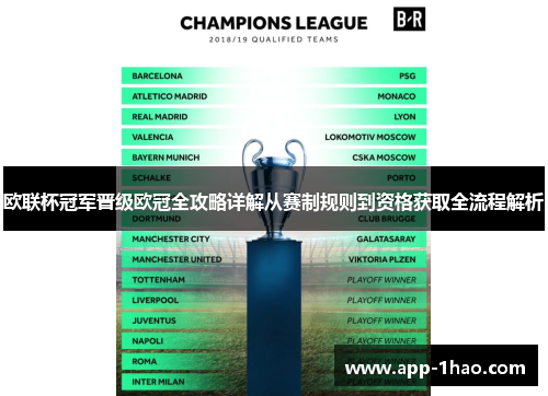欧联杯冠军晋级欧冠全攻略详解从赛制规则到资格获取全流程解析 欧联杯冠军晋级欧冠全攻略详解从赛制规则到资格获取全流程解析